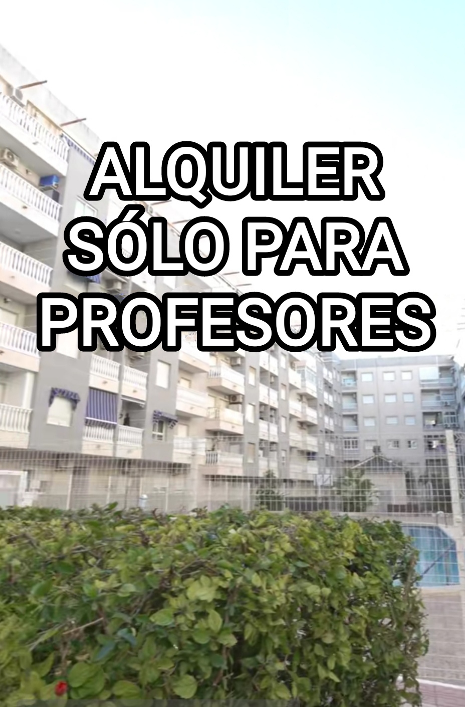Alquiler Apartamento Torrevieja